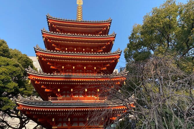 Fukuoka Takachiho Gorge, Amano Iwato and Scenic Train Tour - Understanding Amano Iwato Shrine and the cave