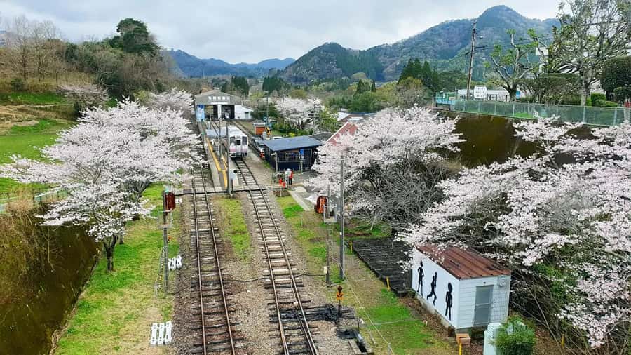 Fukuoka: Takachiho Gorge & Scenic Railway One Day Tour - Who should book this Kyushu day trip?