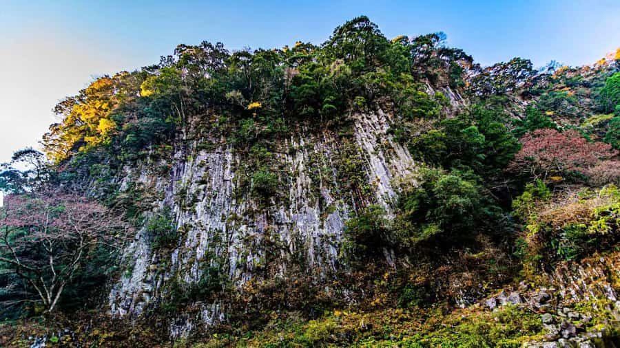 Fukuoka: Takachiho Gorge & Scenic Railway One Day Tour - Should you book it?