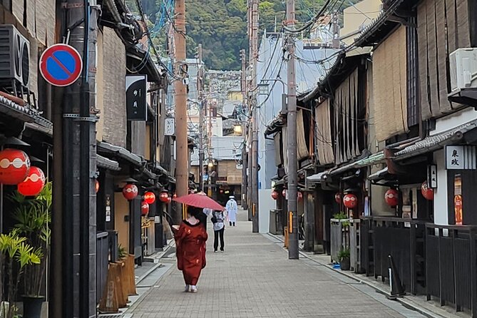Full Day Guided Tour to Kyoto and Nara from Osaka by Van - The guides make the difference