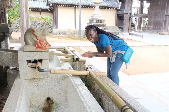 Full-Day Sightseeing to Kyoto Highlights - Arashiyama Bamboo Forest, beautiful but busy