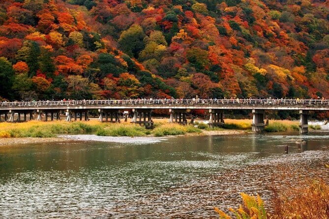 Full Day Tour of Kyoto with Private Transportation - What the guides add beyond the driving