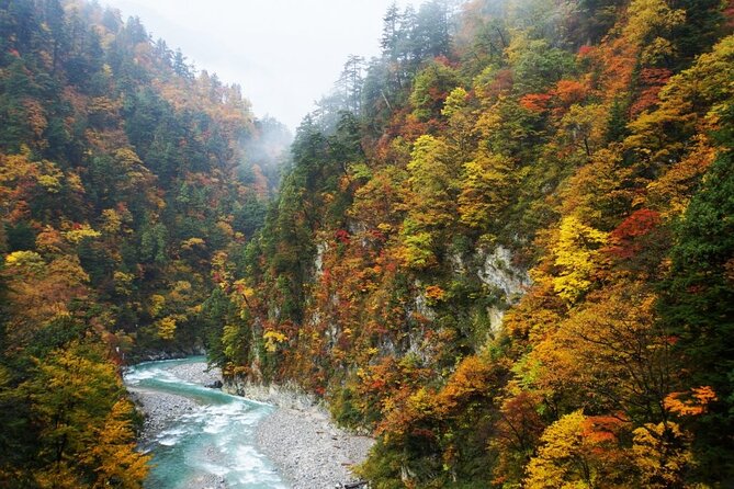Full Day Tour to Kurobe Gorge and Unazuki Onsen from Kanazawa - Riding the trolley train to Nekomata