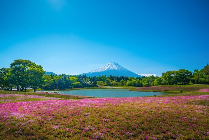Full Day Tour to Mount Fuji in Spanish - Key points before you book