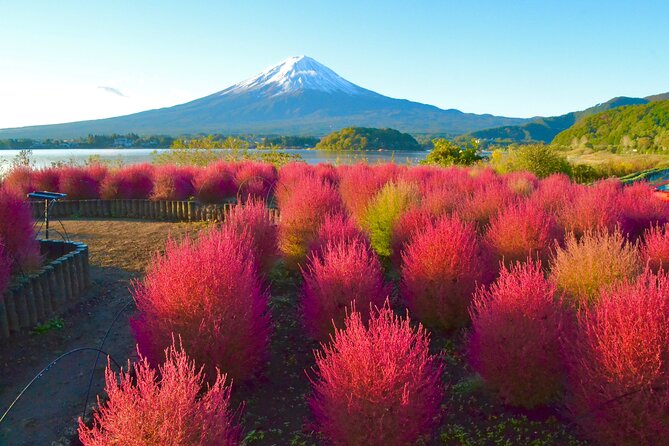 Full Day Tour to Mount Fuji in Spanish - Motosuko Lake and the ¥1,000 bill view