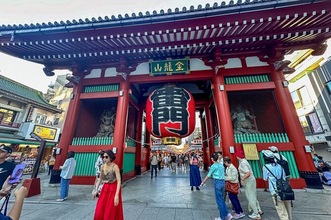 Full Tokyo: Meiji Shrine, Imperial Palace, Asakusa & Skytree - Akihabara from the train and street route