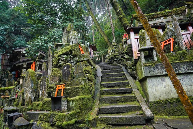 Fushimi Inari Hidden Hiking Tour (Private Option Available) - Guides, photos, and the small-group advantage
