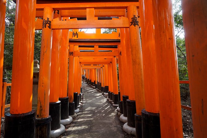 Fushimi Inari Hidden Hiking Tour (Private Option Available) - The bamboo forest and small Inari shrine