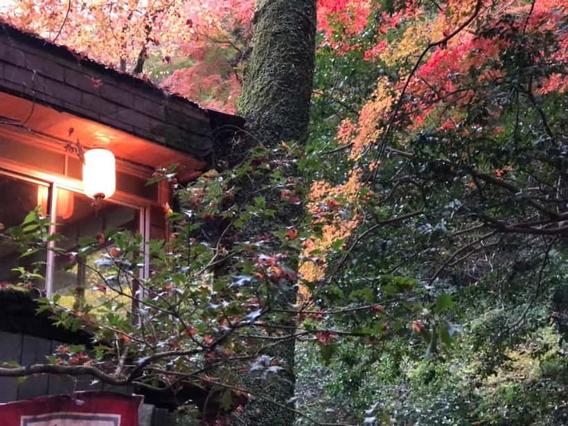 Get to know Minoo from Osaka. Katsuoji Temple, Ryuanji Waterfall and Ryuanji Temple - What the $76 price really covers