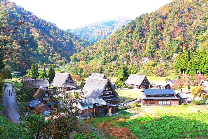 Gokayama and Shirakawago/Photoshoot by professional photographer - The uphill view at Ogimachi Castle Old Site Observatory