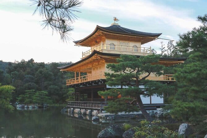 Guided Kyoto City Cherry Blossom One Day Private Tour - Why this private Kyoto day works