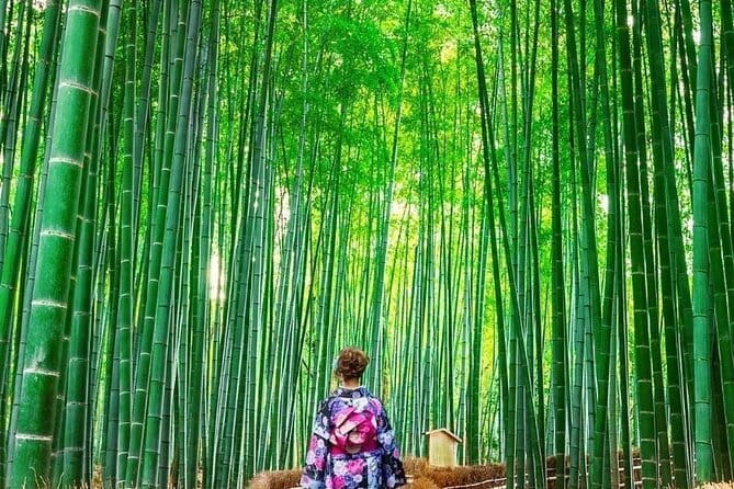 Guided Kyoto City Cherry Blossom One Day Private Tour - Kiyomizu-dera and the Pure Water Temple