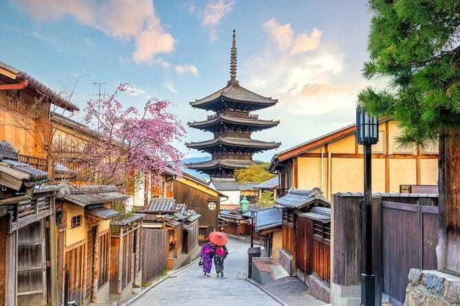 Guided Kyoto City Cherry Blossom One Day Private Tour - Fushimi Inari’s tunnel of torii gates