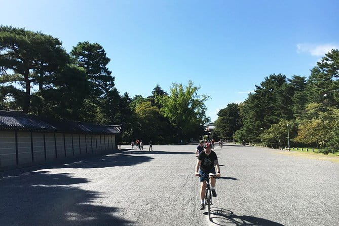 Guided Kyoto City Cherry Blossom One Day Private Tour - Gion, wooden houses, and geisha culture