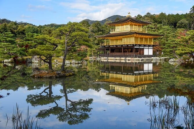Guided Kyoto City Cherry Blossom One Day Private Tour - Kinkaku-ji and its gold-covered pavilion