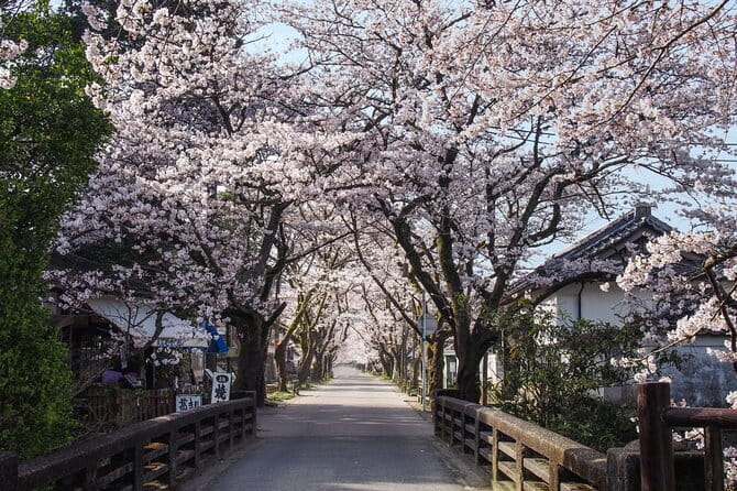 Hakata Old Town Walking Tour Tracing the True History of Fukuoka - Timing, walking, and the small details that matter