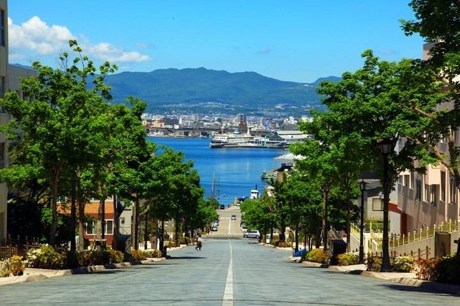 Hakodate 6hr Private Tour with Government-Licensed Guide - Mount Hakodate: the big view, with a weather warning