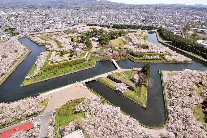 Hakodate 6hr Private Tour with Government-Licensed Guide - How much does the $269.32 price buy you?