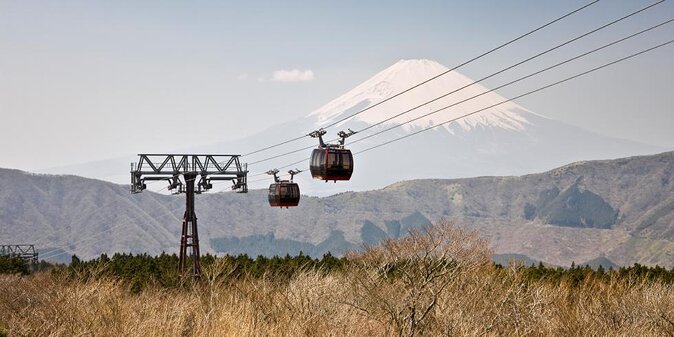 Hakone 6 hour Private Tour with Government-Licensed Guide - Key points before you book