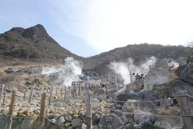 Hakone 6 hour Private Tour with Government-Licensed Guide - Owakudani, black eggs, and volcanic ground