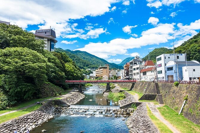 Hakone 6 hour Private Tour with Government-Licensed Guide - Weather planning and guide flexibility