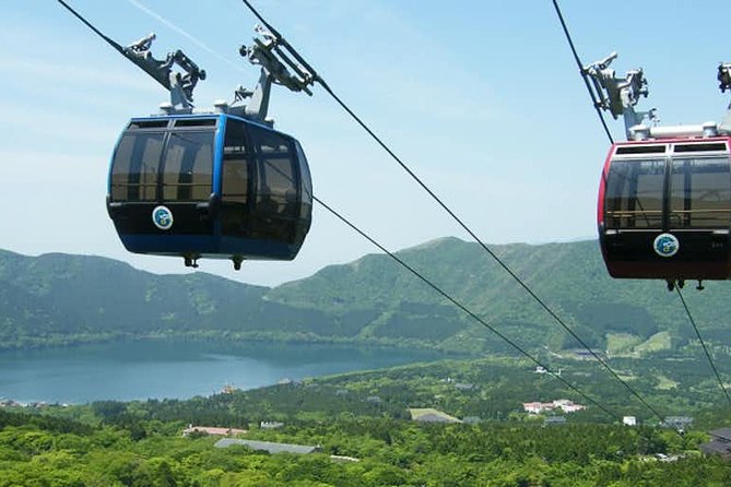 Hakone 8 hour Private Tour with Government-Licensed Guide - Why a private day helps in spread-out Hakone
