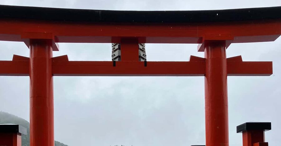 Hakone: Day Tour to View Mt Fuji & Wooden Culture Experience - Why this Hakone route works so well