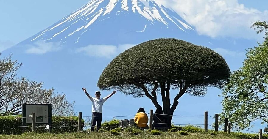 Hakone Hachiri: Old Tokaido Highway Hiking Tour - Why Hakone Hachiri feels different from a normal sightseeing day