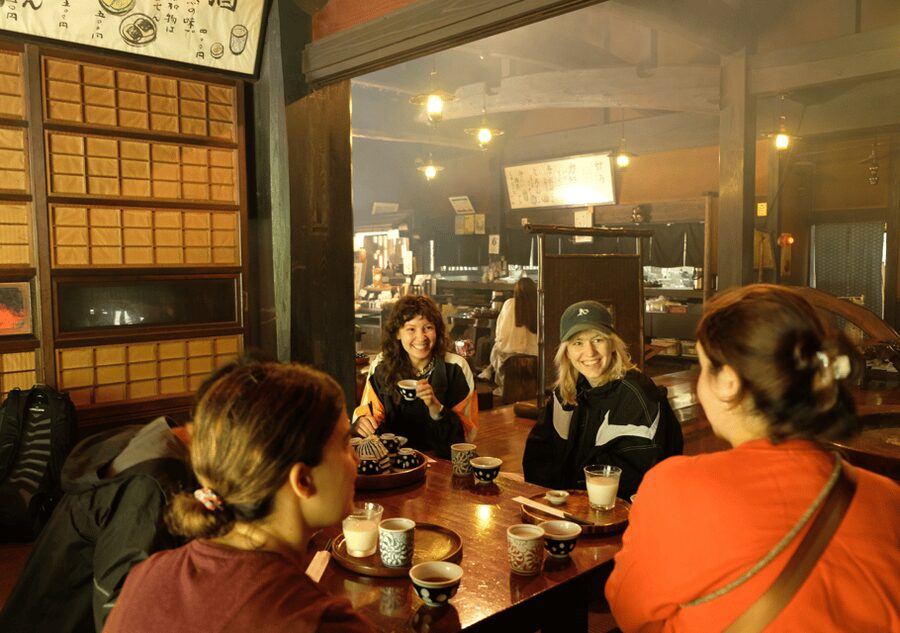 Hakone Hachiri: Old Tokaido Highway Hiking Tour - Cobbles, cedar trees, and Lake Ashi