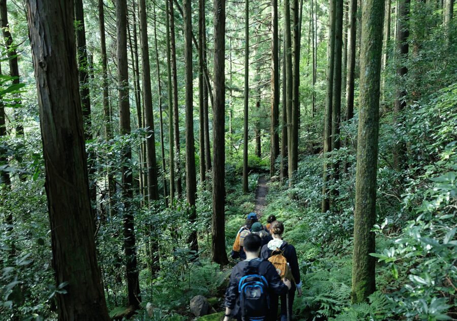 Hakone Hachiri: Old Tokaido Highway Hiking Tour - Lunch beside the lake and a change of pace