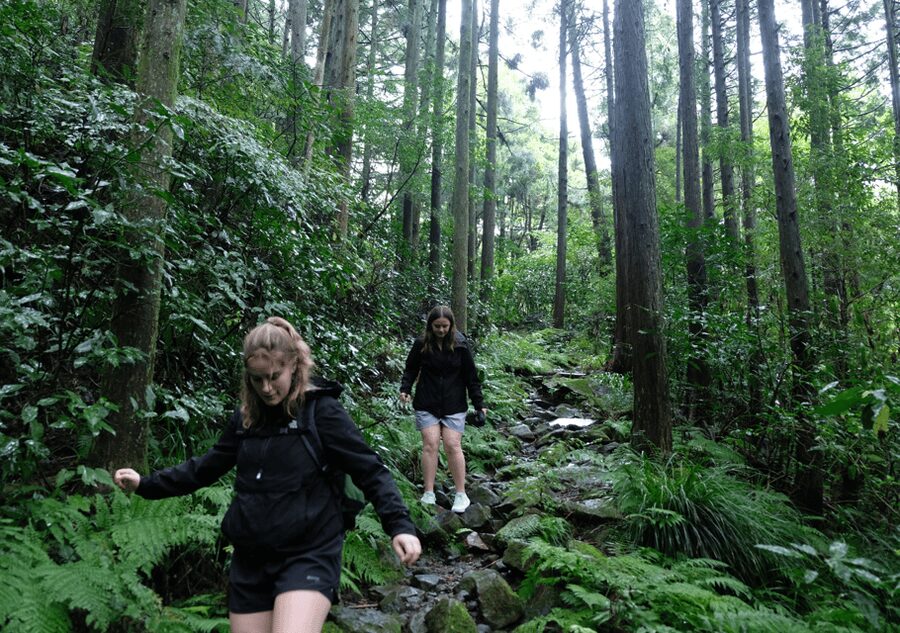 Hakone Hachiri: Old Tokaido Highway Hiking Tour - What the walking is really like