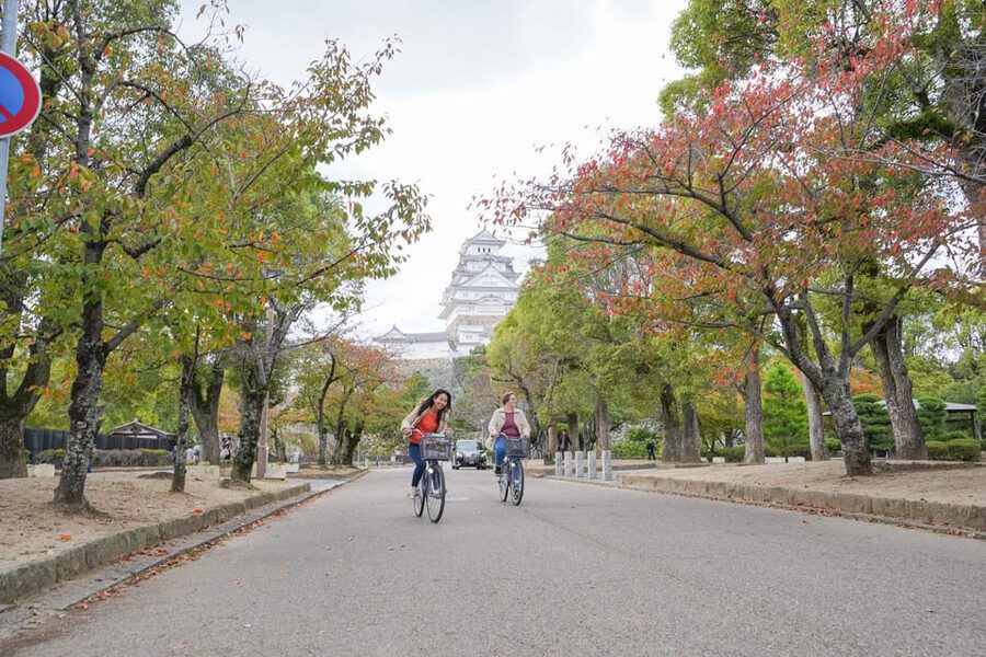 Half-day Himeji Castle Town Bike Tour with Lunch - The strongest reasons to book