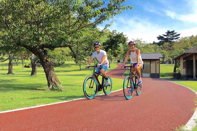 Half Day Izu Kogen Highlands Downhill Cycling Tour - Mount Omuro gives the tour its best opening