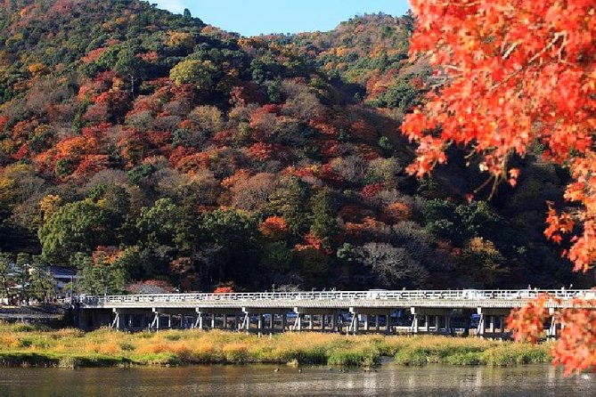 Half Day Kyoto Sagano Bamboo Grove & Arashiyama Walking Tour - Why this half-day route works