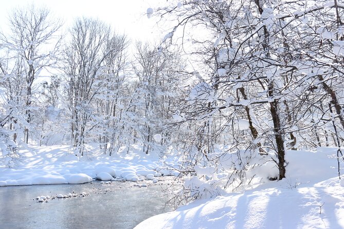 Half Day - Snow View Rafting in Niseko - What the guides and equipment add