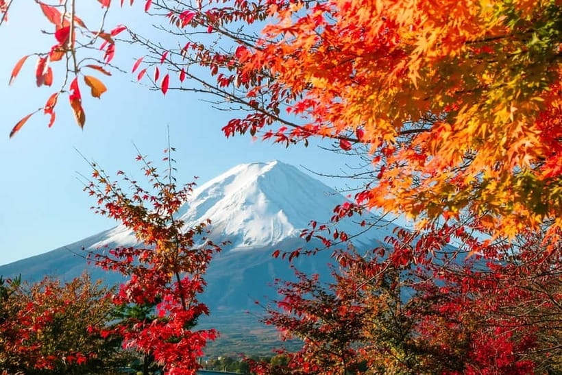 Halfway Up Mt,Fuji, Oshino Hakkai, Kawaguchiko from Tokyo - What this $74 day trip is really offering