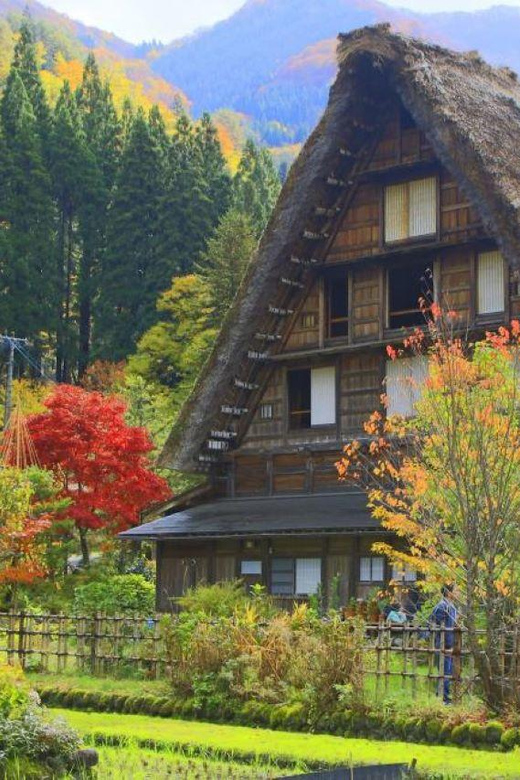 Hida Takayama, Shirakawa-go+Observatory|Day Trip from Nagoya - The Shirakawa-go Observatory is the visual payoff