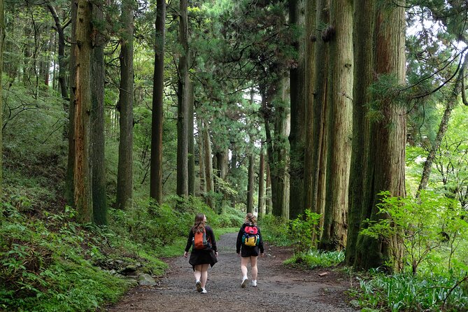 Hike Japan Heritage Hakone Hachiri (Half Day) - Why the old Tokaido route matters