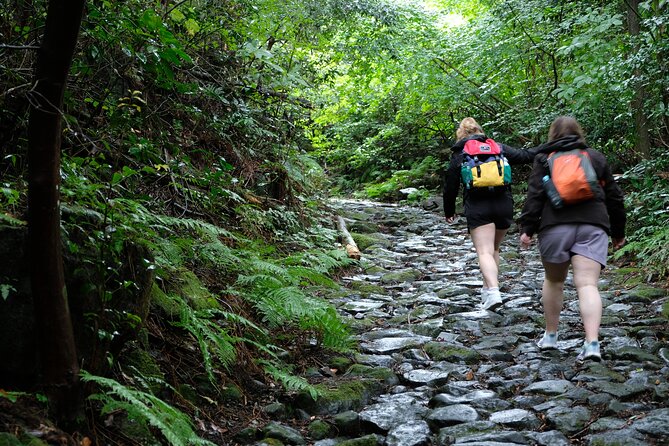 Hike Japan Heritage Hakone Hachiri (Half Day) - Amasake at a 400-year-old teahouse
