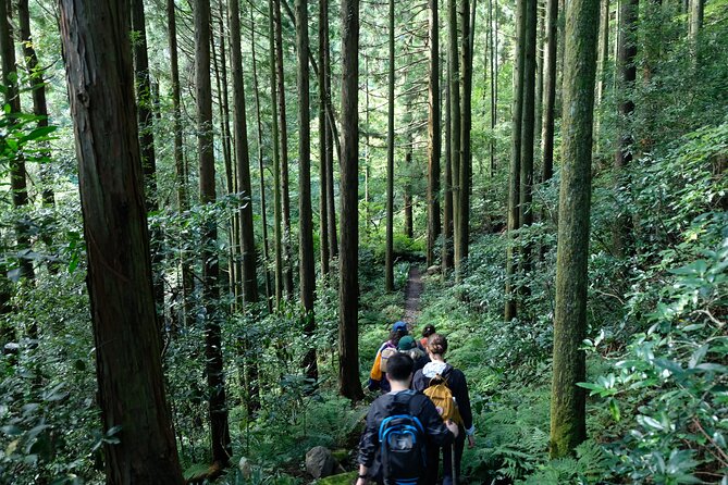 Hike Japan Heritage Hakone Hachiri (Half Day) - The guide makes the difference