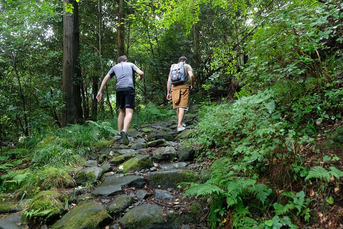 Hike Japan Heritage Hakone Hachiri with certified mountain guide - Arriving in Mishima through shrine and river scenery