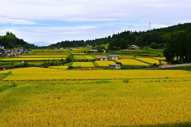 Hiking the Historic Nakasendo Trail [1 Day Tour from Nagoya] - Leaving Nagoya for the old road