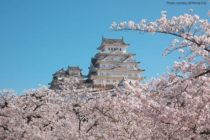 Himeji Castle and Akashi Kaikyo Bridge Walking Tour from Kyoto - What the $252.90 price really covers