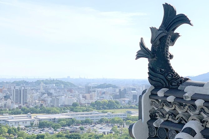 Himeji Half-Day Private Tour with Government-Licensed Guide - What your private guide adds