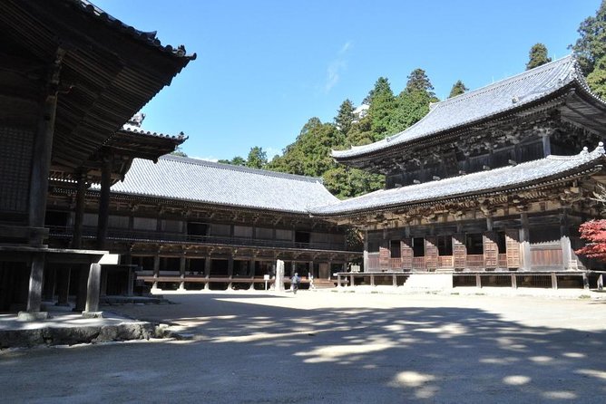 Himeji Half-Day Private Tour with Government-Licensed Guide - Timing, walking, and the real four-hour limit