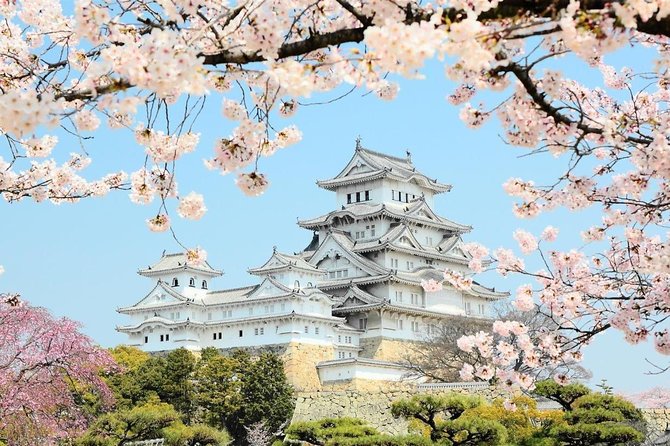 Himeji Half-Day Private Tour with Government-Licensed Guide - Is $109.43 per person good value?
