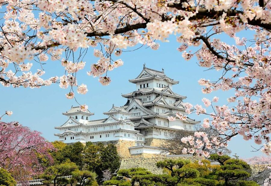 Himeji: Private Customized Tour with Licensed Guide - Starting at your hotel or Himeji Station