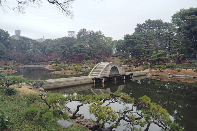 Hiroshima and Miyajima Private Guided Tour - Taking the tram and ferry to Miyajima