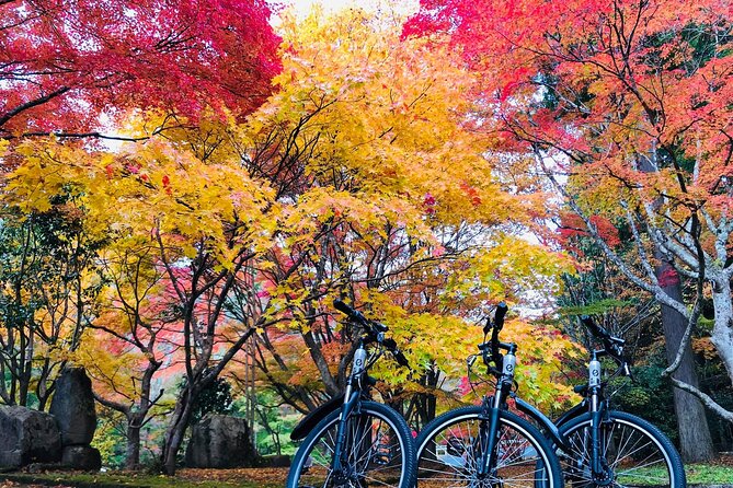 Hiroshima Country Cycling: Explore Rural Life 1 HR from City - Getting to Oasa from Hiroshima