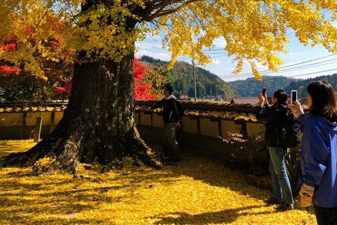 Hiroshima Country Cycling: Explore Rural Life 1 HR from City - Aino Sato Herb Garden turns lunch into part of the tour